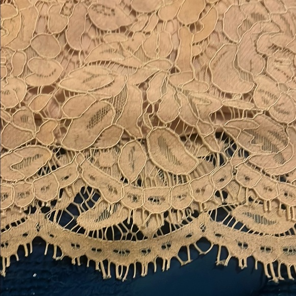 White House Black Market Lace Beige Bell Sleeve Blouse - Picture 10 of 10